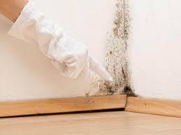 Mold Remediation for Rental Properties in Yellow Springs, OH